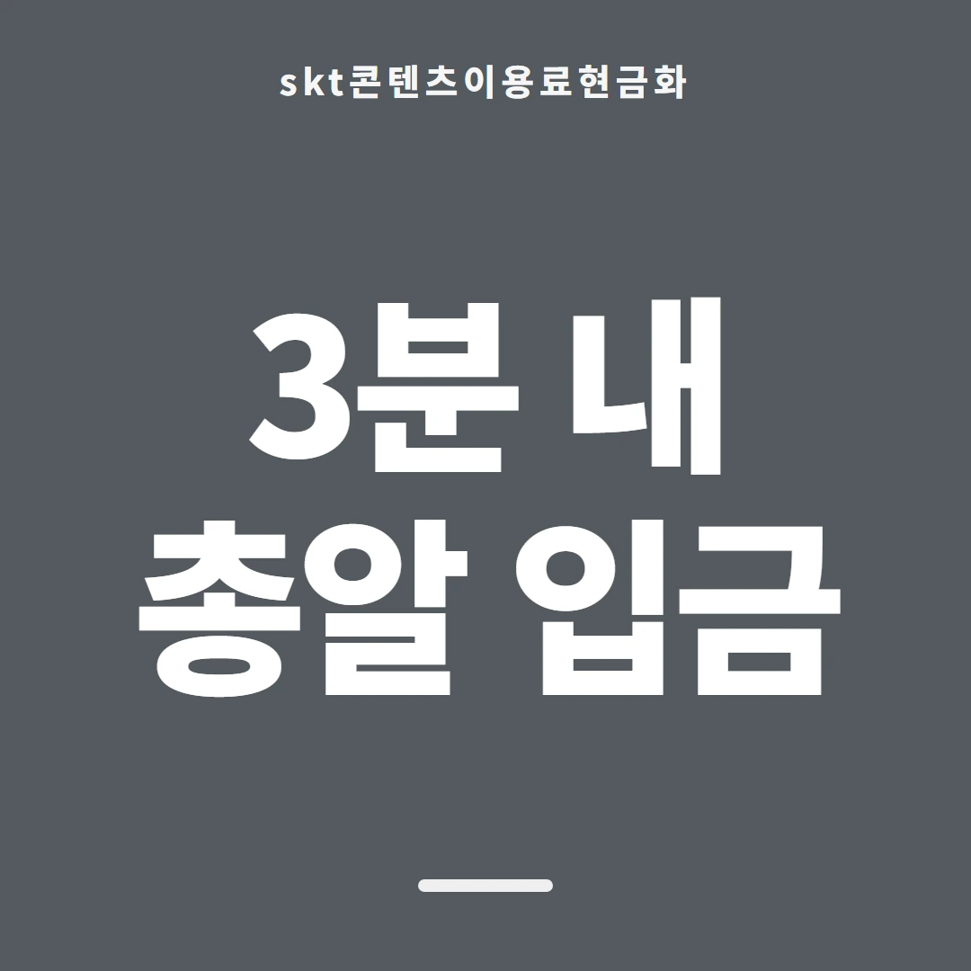 품티켓 SKT 콘텐츠이용료 요금에 얹히는 쪽 안내 이미지
