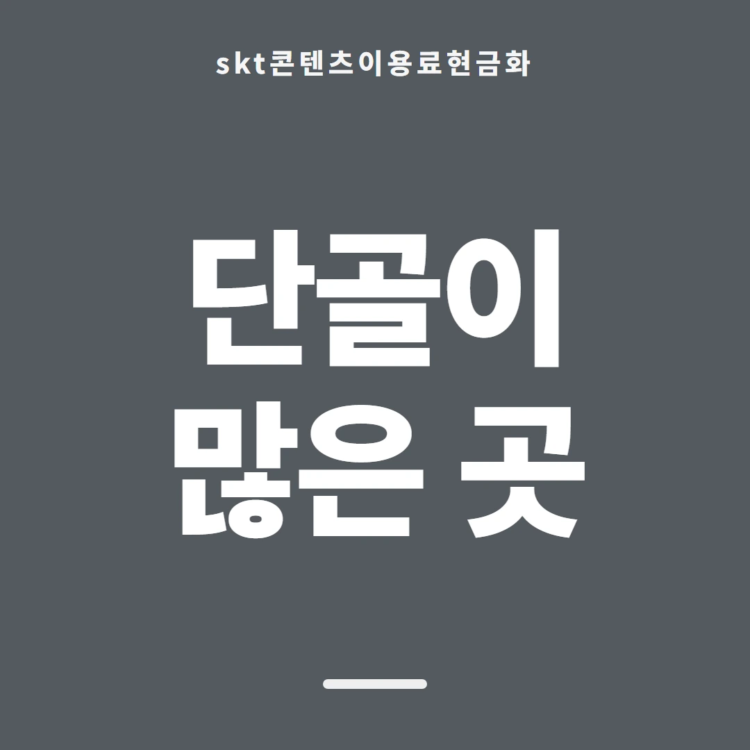 품티켓 SKT 콘텐츠이용료 어느 줄에 적히나 안내 이미지
